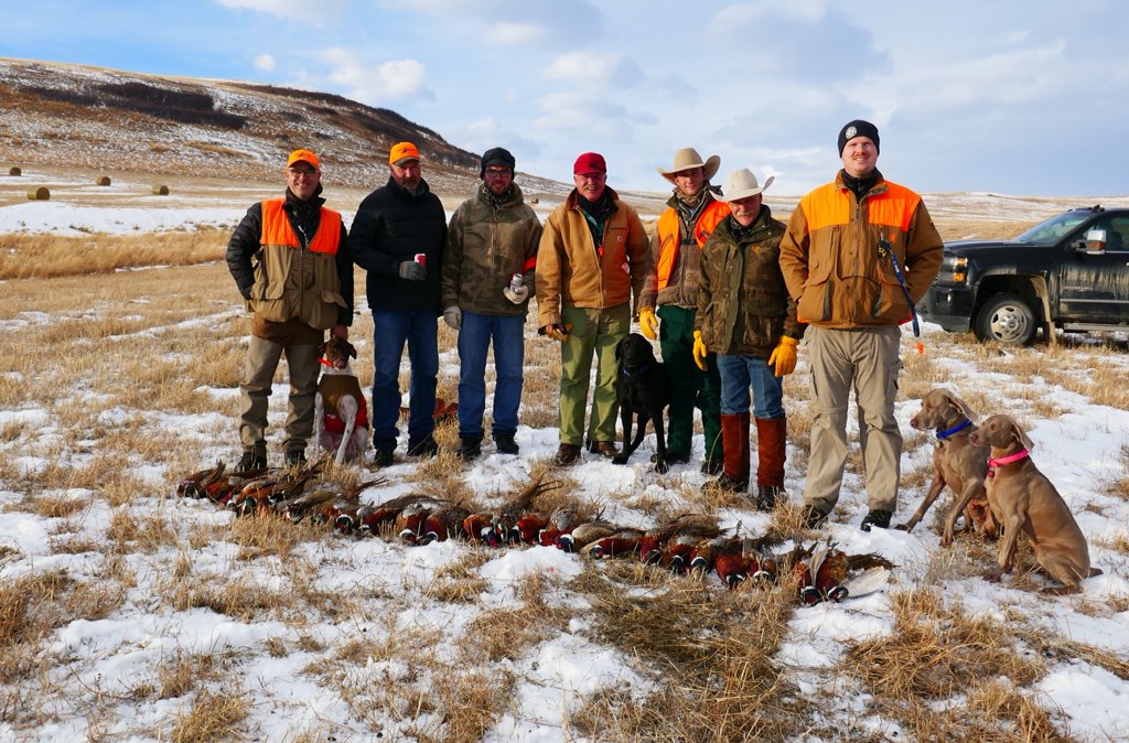 Gr8 day spent afield at the #StavelyPheasantDerby w/   Clay Elliott, Cody Sawley, Remington Holowath, Brennan Hanna, Vern Elliott, Jason Dobirstein #dogs #guns #greatguys #fieldlunch