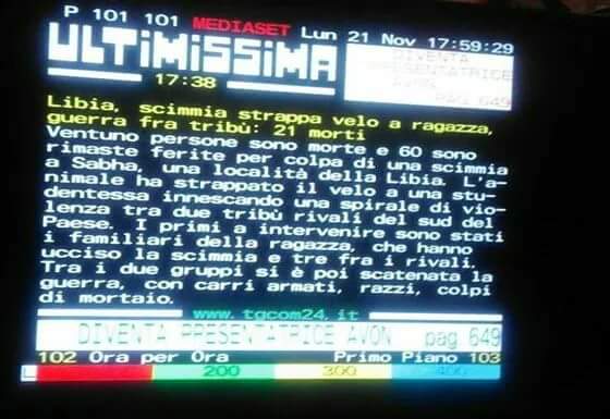 Davide tweet media