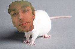 whoisjosekuilan's tweet photo. @dmartindale98 My bad, we saw a rat and started booking it #CallTheExterminator https://t.co/gSzZ0N5VAm
