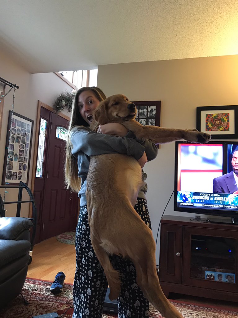 gabimorell's tweet photo. happy 18th birthday to this lovely lady!!! very grateful to know someone who appreciates Beyoncé as much as I do🙌🏻 enjoy today, love u mucho gib!!!! 👸🏼❤️🐶💋🍰🌈🎁 see you very soon!!! @gabi_lanza52 https://t.co/0cHcRj58Uv