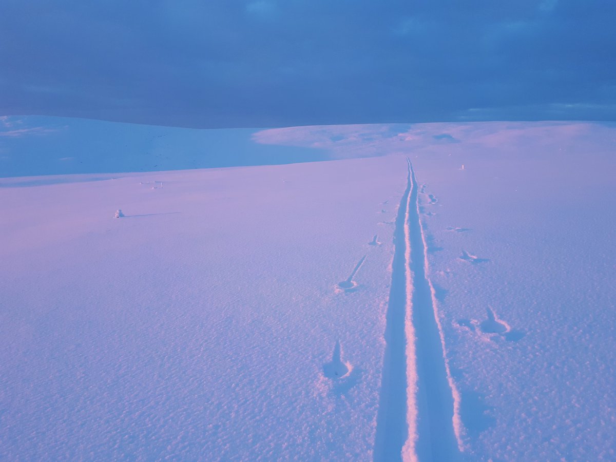 Olihan mahtava auringonnousu tunturissa! Yhtäkkiä täysivalkeus muuttui näkyväksi, punertavaksi varjoineen! #ukkpuisto #luontoonfi #suomi100