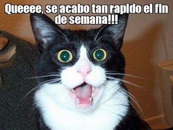 LaSobrevividora's tweet photo. #ciertoooooo https://t.co/pnpfUsttZ0