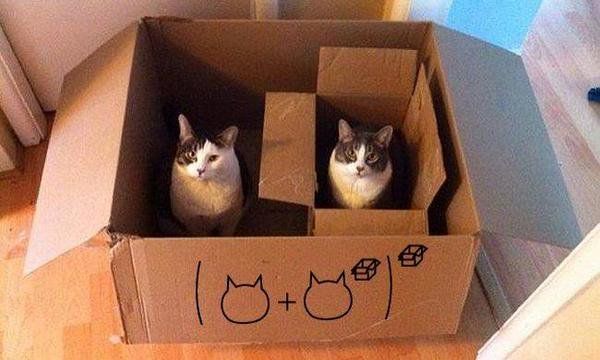 WTVRgames's tweet photo. Our game in a nutshell #B4C https://t.co/lRzMUv9QkC