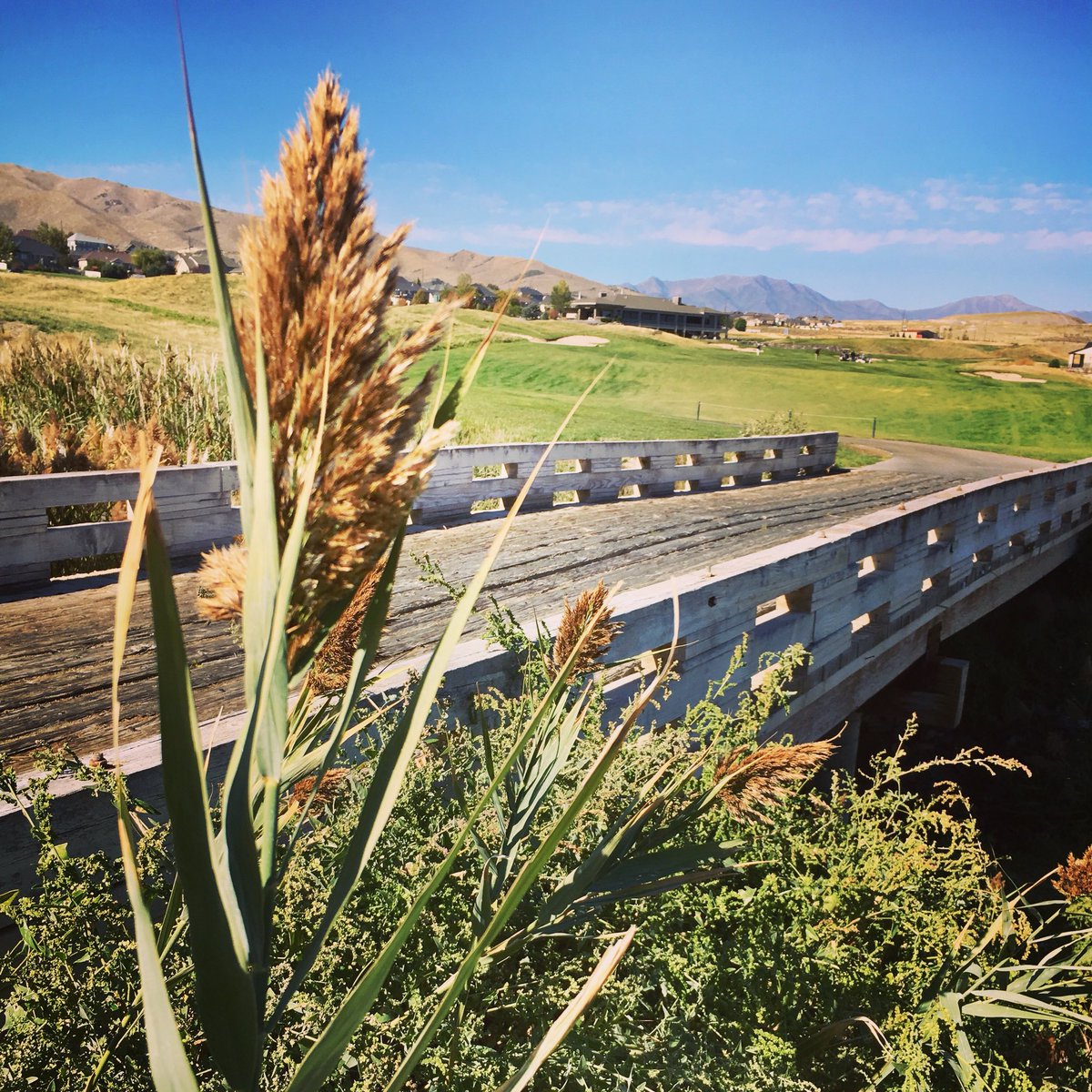 TalonsCove's tweet photo. Couldnβt ask for better weather at a better time or on a better course to golf this week! We are open everyday, but Thanksgiving and donβt forget itβs only $30 after 1:30 with cart.
#talonscove #golf #saratogasprings #utahlake #mttimp #familygame https://t.co/dtFJW6nMHm