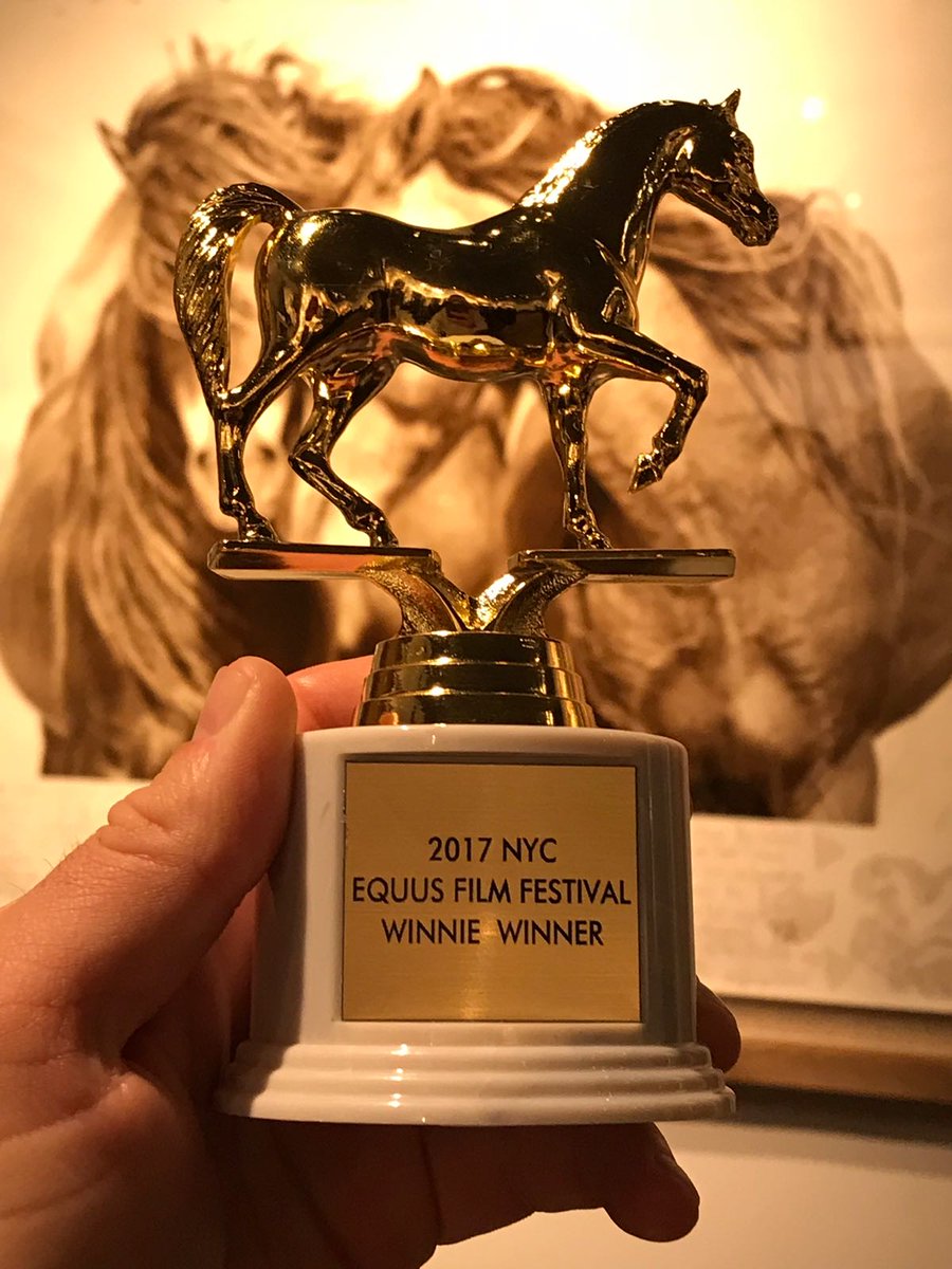 EquineP's tweet photo. Woo hoo!!!!!! Two of our films have won at @EQUUSFilmNYC!! Best Int. Director Short for Many Clouds, The People's Horse, and Best Int. Commercial for our @EmmaMassingale inspired #MoleValley ad!!! Massive thanks to everyone who helped us get here. https://t.co/CU4yRDpyDh