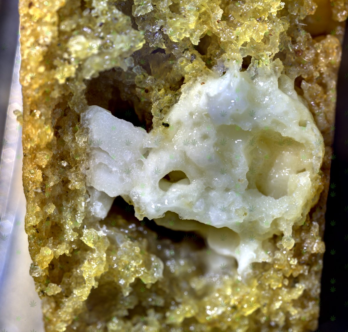 schwagged's tweet photo. more than delicious
white chocolate cookie crunch
ripe with medicine

#cannabis #marijuana #thc #cbd #edibles #diy #homemade #fuckingbuymyart #macro #panoramic #photography #this #image #consists of 48 #photographs #stitched #together https://t.co/7ktAUzG1fm