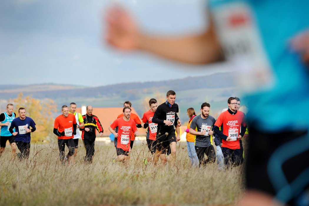 lyonne_fr's tweet photo. En images | #CYR2017 #Auxerre Le 39e cross de l'Yonne républicaine attire 1.662 participants https://t.co/I4YNL7GsJV https://t.co/KkI18jUP3G