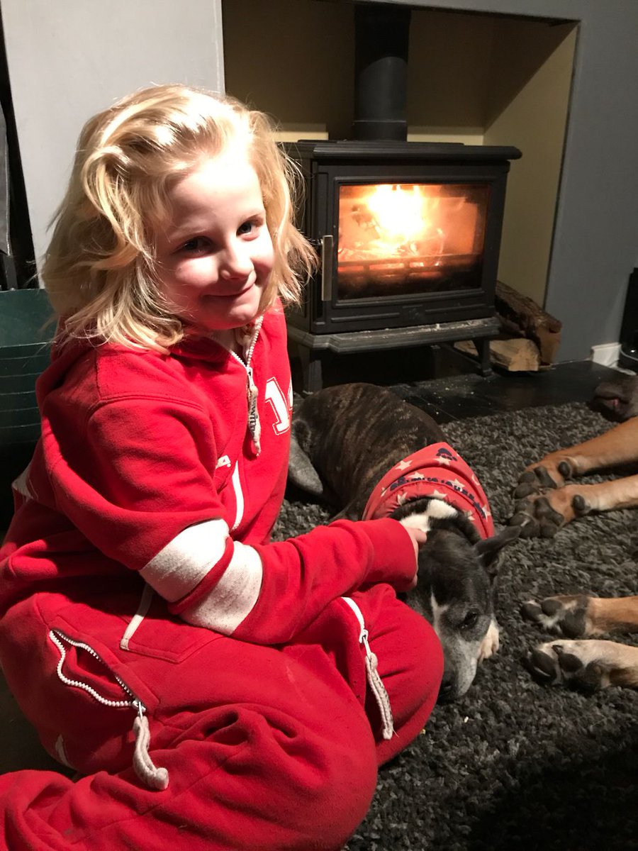 K9Finn's tweet photo. Tia loves her Millie. And best investment we made this year behind her 👍 everyone loves sitting by it if we can get past the dogs 🙊
#FinnHour #Freeheating #cosy #FabulousFinn https://t.co/wG7QjEP2ZT