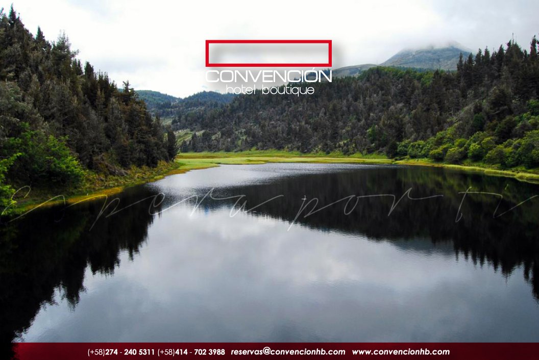 convencionhb's tweet photo. Déjate maravillar por la #magia de nuestros paisajes! #FelizDomingo 🔝👌🍃🌲
.
.
.
#ConvencionHotelBoutique #EsperaPorTi #Mérida #Venezuela #HotelBoutique #HotelesDeLujo #LuxuryHotels #Hotel #Hotels #HotelLife #Luxury #igersmerida #igersvenezuela #Travel #Turismo #sunday https://t.co/QuTyxeUD5w