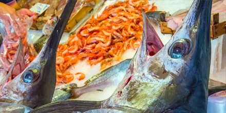 Say NO, thanks! 🙏⚠️ Help save our oceans - here are 5 fish you should not be eating ow.ly/3ESV30gbmdh  #fish #sustainability #BluePlanet2
