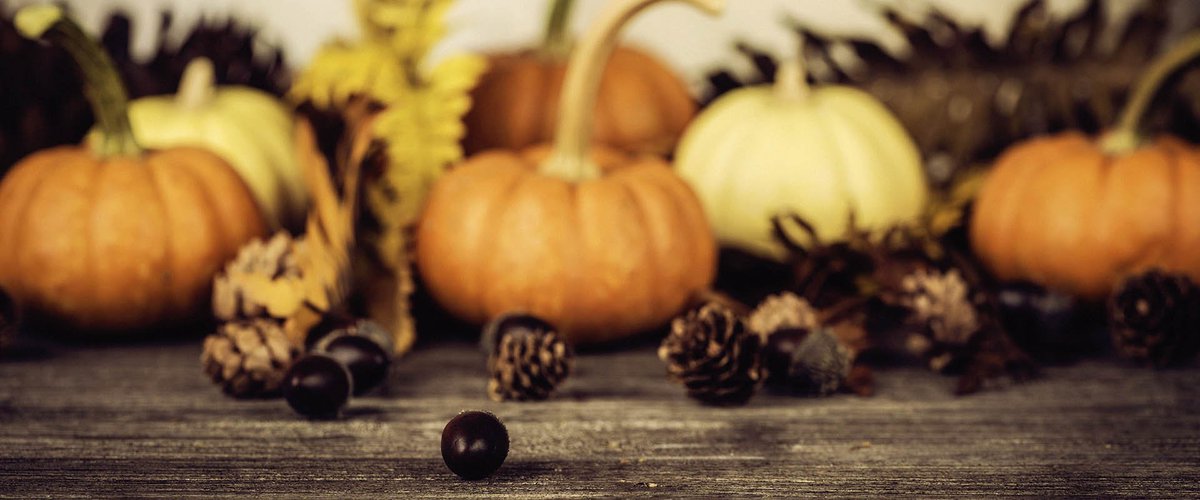 LunasEatDrink's tweet photo. Thanksgiving is Thursday. Will you be joining us? #orangebeachrestaurants #orangebeachdining #beachdining #coastaldining #coastalcuisine #familyfriendly #southernfavorites #neighborhoodsportspub #sportspub #thanksgiving #makeyourreservations https://t.co/AF7LPTRkdy