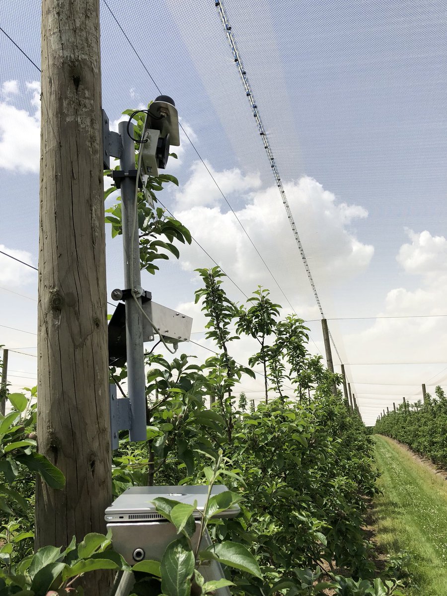 MetosANZ's tweet photo. New in-field crop monitoring install. Looking forward to being able to size the crop as it grows. #CropView #apples https://t.co/DBy52d8EHS
