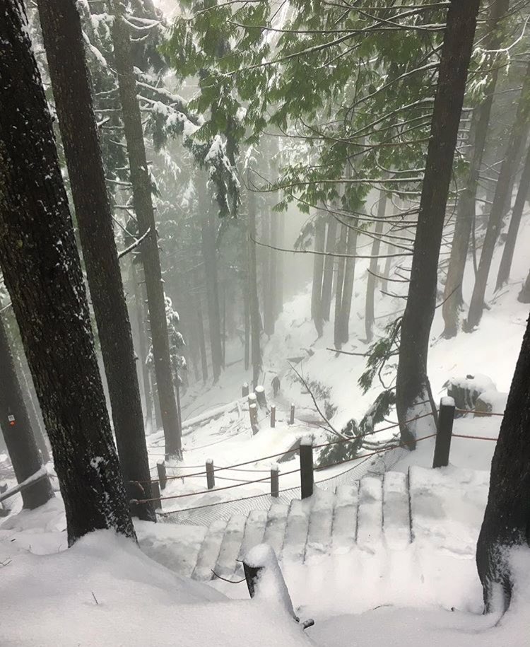 Grind For Kids (@grindforkids) on Twitter photo Due to heavy snow on the upper portion of the trail, heavy rainfall, and the recommendation of <a href="/NSRescue/">North Shore Rescue</a>, the Grouse Grind Trail has been CLOSED. Thank you for stepping up for BC’s kids. #grousegrind Due to heavy snow on the upper portion of the trail, heavy rainfall, and the recommendation of <a href="/NSRescue/">North Shore Rescue</a>, the Grouse Grind Trail has been CLOSED. Thank you for stepping up for BC’s kids. #grousegrind