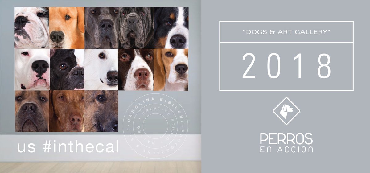 Perros_EnAccion's tweet photo. us #inthecal
Lanzamiento 25 de noviembre
Exposición Cierre de Ranking FCA 2017
La Rural
#CalendarioPEA2018
DOGS & ART GALLERY
Mucho más que un Calendario! https://t.co/u4IAHO7pRL