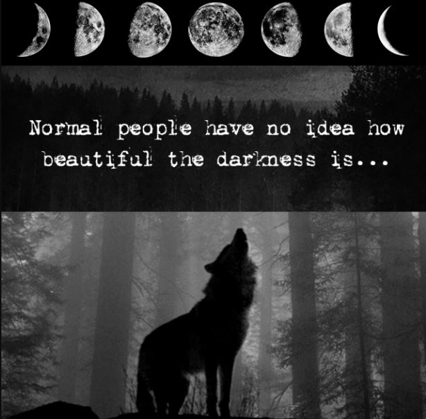 "Mundane's say that anger breath's strength-

--It's the fear that resides within you... That's the strength that pushes you to survive."

}~Rogue beta she-wolf.
}~Mature themes - 21+.
}~Detailed and grammatical.
}~Writer tag - #Felan.

#OpenRP #DetailedRP