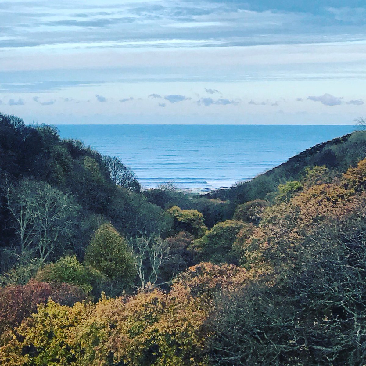 StaunchSurf's tweet image. Hope you all found your own slice of paradise today.
#surf #eastcoast #localbreak