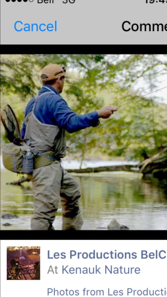 Paddy Johnson tweet media