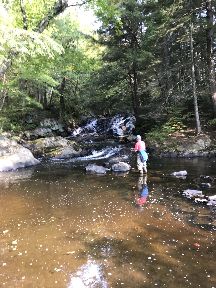 Paddy Johnson tweet media