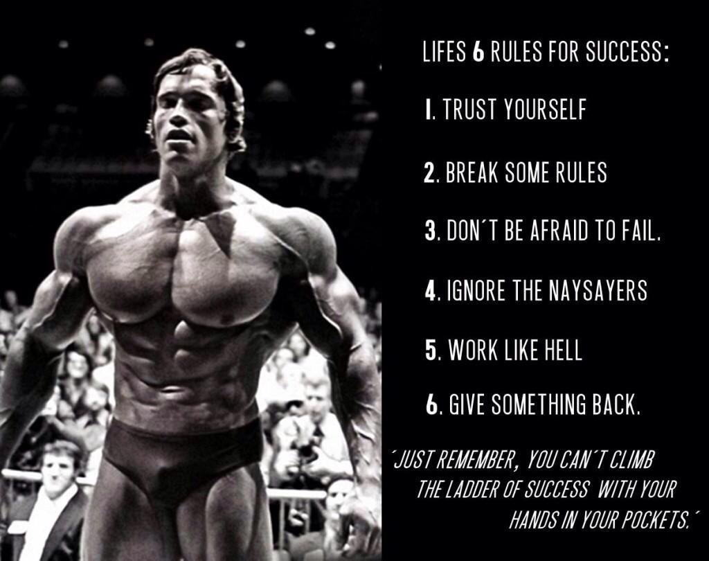 sharkfitstore's tweet photo. Follow these rules and be the greatest. You can't climb a ladder if your hands are in your pockets. Follow us for more quotes and check out our store.
@sharkfitstore
#gymquote #quote #liferules #arnoldschwarzenegger #6rules #arnoldschwarzeneggerquotes #begreat #fitness #gym https://t.co/IgIECjAJnz