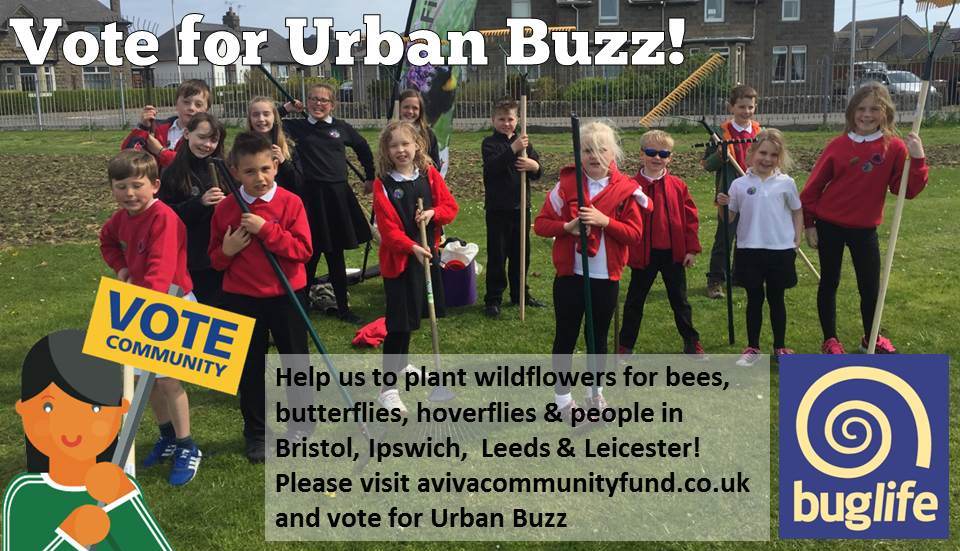 Buzz_dont_tweet's tweet photo. Only 2 days left to vote for our Urban Buzz project in #AvivaCommunityFund so we can plant more wildflowers for pollinators & people! You can donate up to 10 of your votes for each project https://t.co/rNNfxoUMUn Thank you for voting and sharing! #Vote4Bees https://t.co/nZroqOA1l2