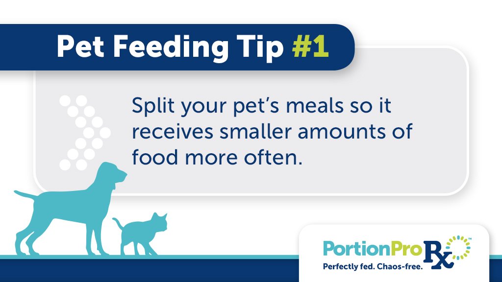 PortionProRx's tweet photo. This is one way to prevent begging and make your pets think they’re getting even more food. #itsgoodforthem #petobesityprevention #portionprorx #vetinnovations #pethealth https://t.co/aE5L4GHMxT