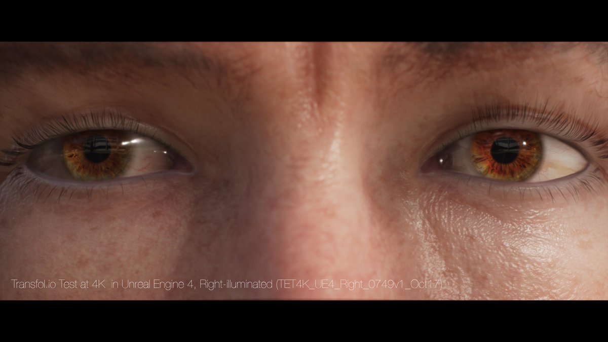 transfolio tweet media