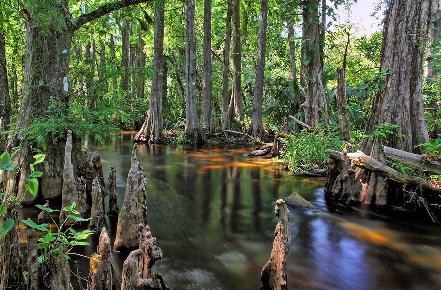 jupiterdaily's tweet photo. Beach or River? How do you take your water? https://t.co/PqEbM5Tek5