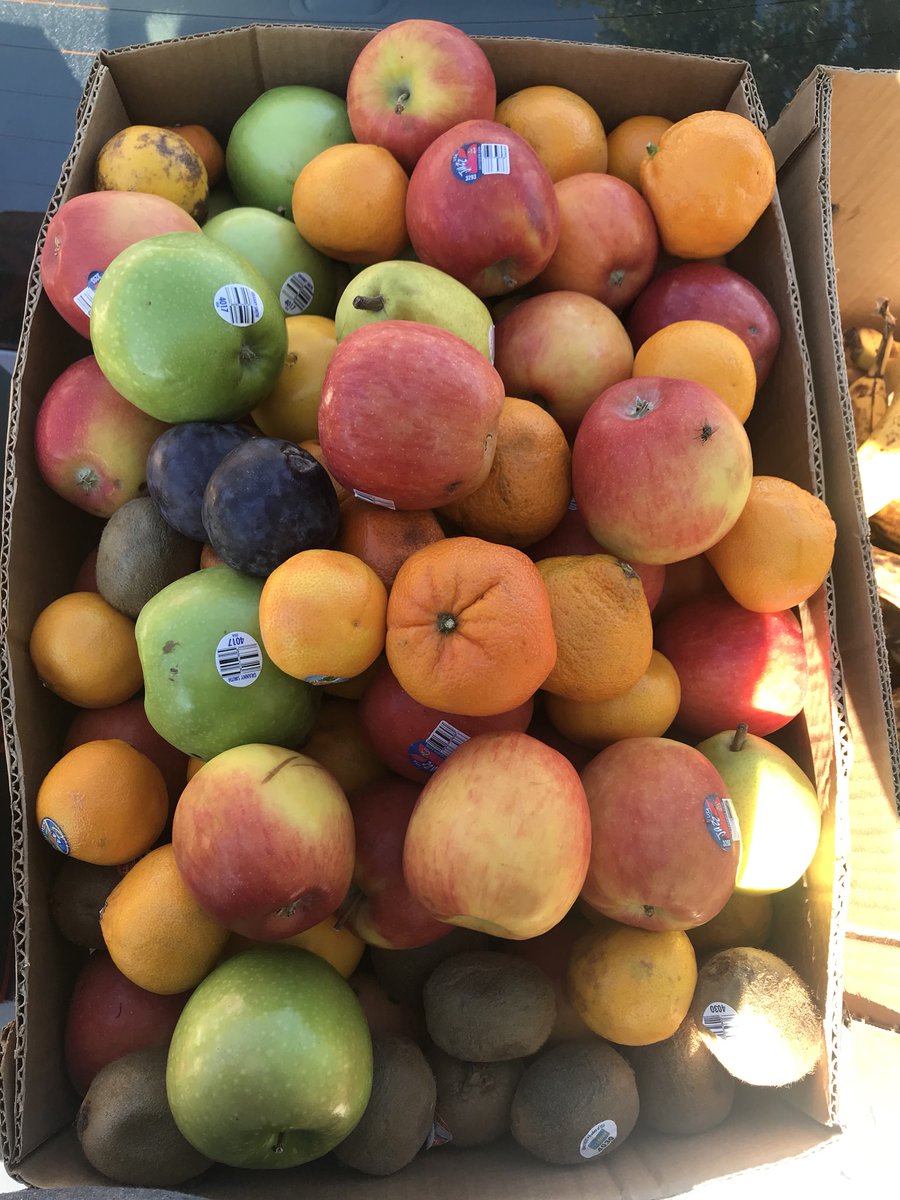 Imperfect fruit is yummy fruit!
#foodrescue #eatimperfect #harvestproject  #jointhefight