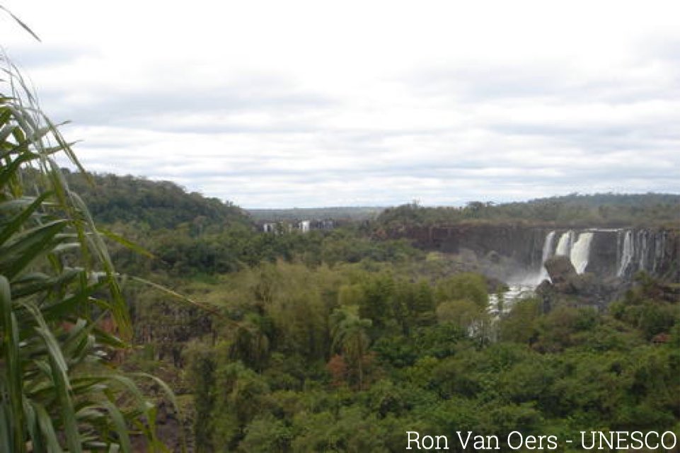 MeanderOutdoors's tweet photo. The combined parks cover 593,000 acres, protecting rainforests that have been heavily altered in the area. https://t.co/IRY0LceO1r