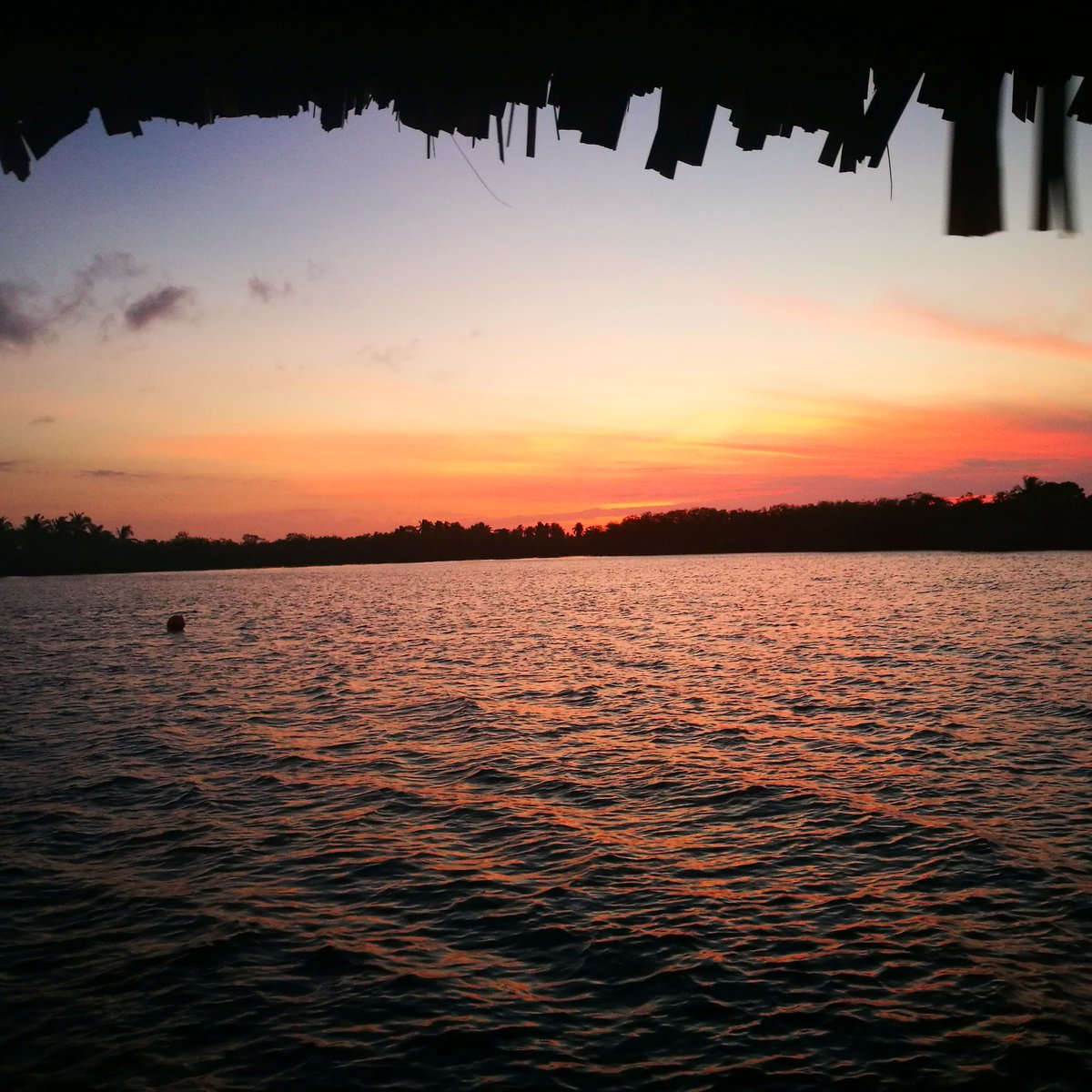 Kelly & Adam | The Wilder Route tweet media