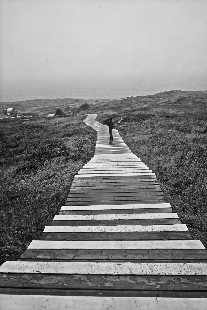 Ryan Design tweet media