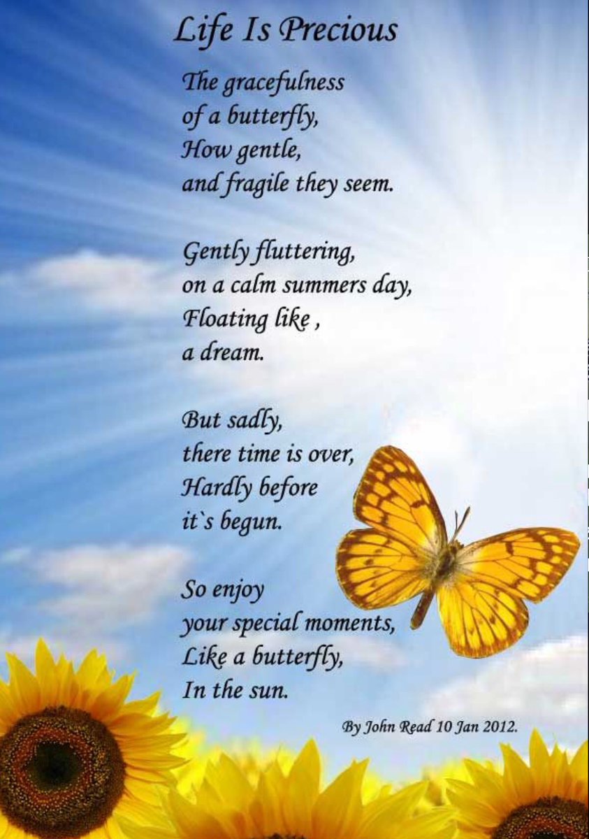 life is precious quote fam stuff famstuff43