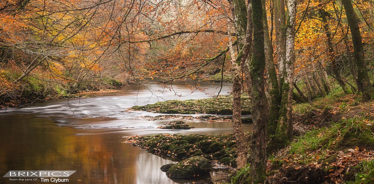 GreatDevonDays's tweet photo. A walk at Hembury Woods today photo #TimClyburn -loving autumn colours @VisitDevon https://t.co/UTN06hisjn