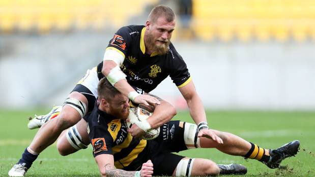COYWasps's tweet photo. Welcome to Wasps: Kiwi-Born English back rower @brad_shields #WelcomeToWasps #OnceAWasp https://t.co/qESXRPrarB