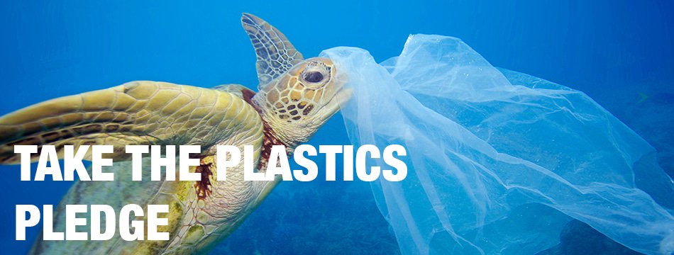 Greenpeace UK Oceans tweet media