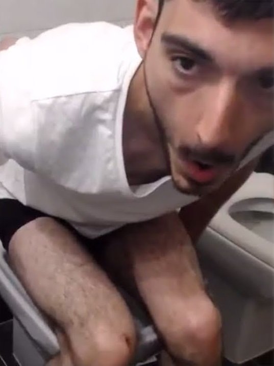 Ice Archive tweet media