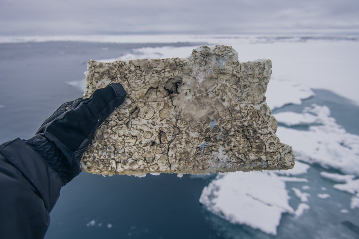 ConorMcDPhoto's tweet photo. Plastic pollution is one of the biggest threats facing our oceans. Here’s some photos I took in one of the most remote places on earth, just a couple hundred miles from the North Pole, and it was still evident there https://t.co/fVEAYgiXx3