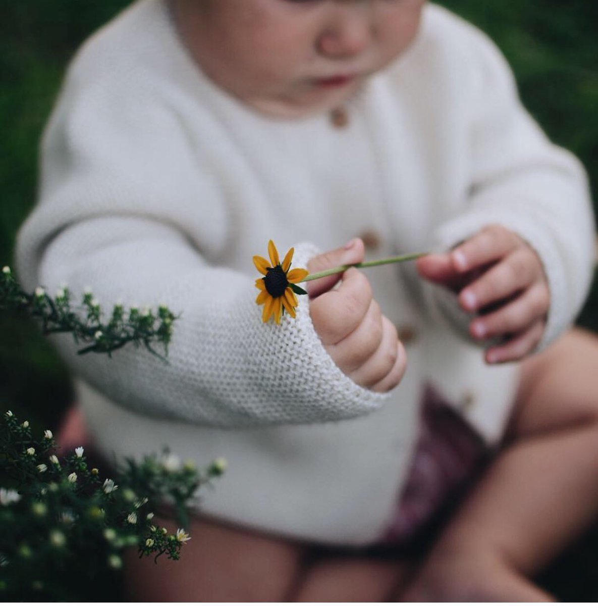 omibiachildren's tweet photo. Thank you @cloth for sharing this magical photo โจfrom @danceypantsdisco showing Omibiaโs Amore cardigan made in baby alpaca #omibianatural #omibia #organiccotton #organicbaby #organic #baby #childrenswear #childrensclothes #instakids #babyfashion #babygirl #babyboy #ecofriendly https://t.co/1F5W8t2fjX