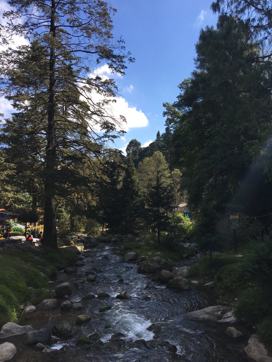 5tacoscontodo's tweet photo. Los envidiosos dirán que ando en los dinamos aquí en CDMX, pero la neta es que si #EstaBienBonito #RelaxDominical https://t.co/l15yTXeXVi