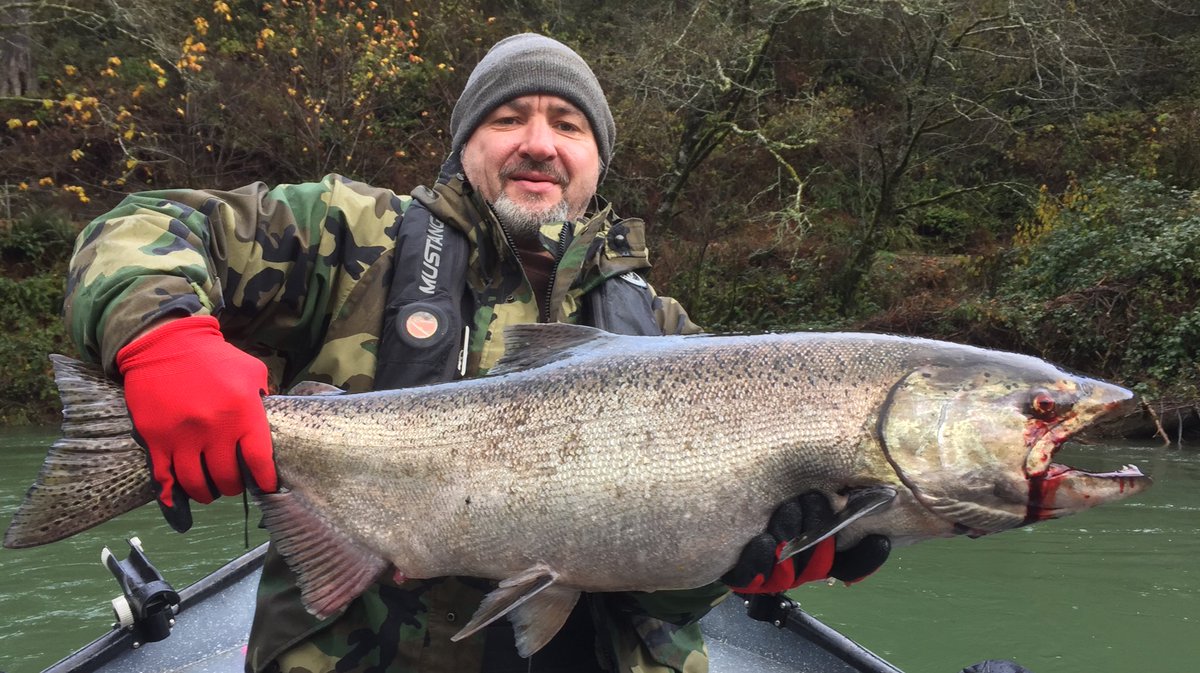 SkysGuide's tweet image. Who’s got family in town for #thanksgivingweek? Take ‘em #fishing for #oregon coastal chinook with @SkysGuide (503)799-3757