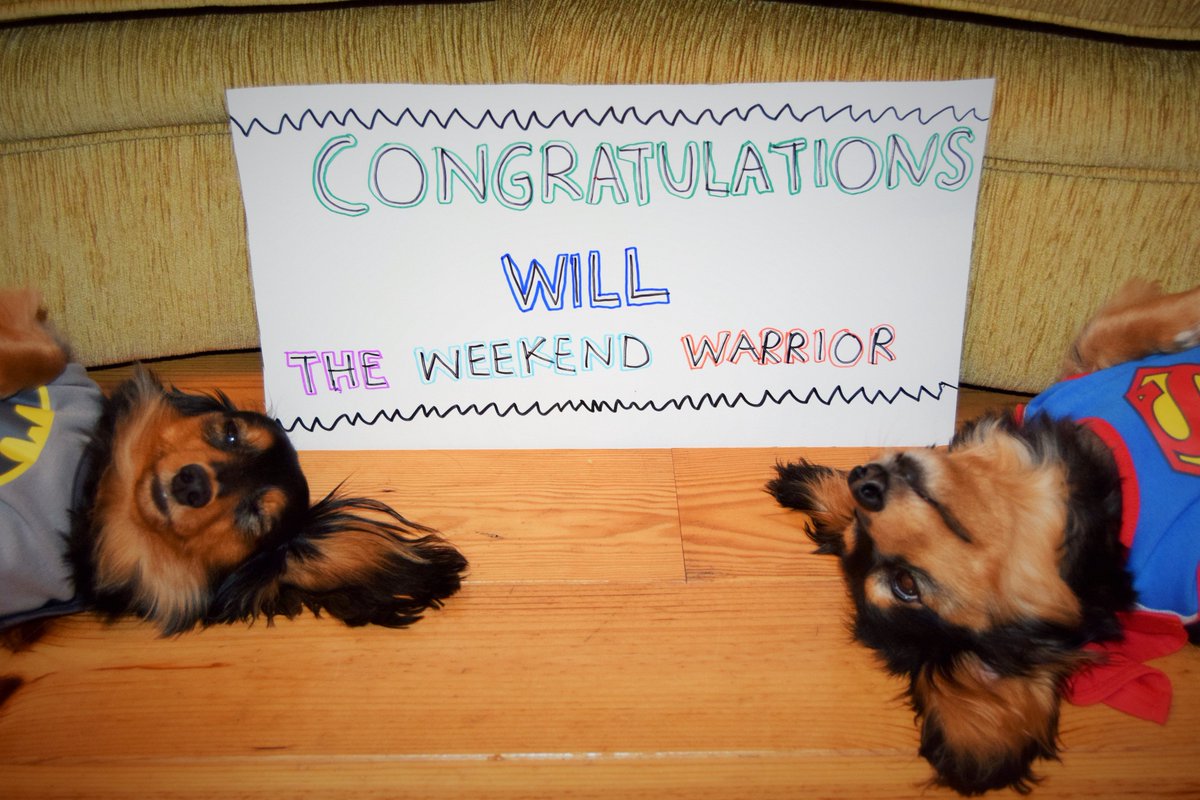 BelfastMarrow's tweet photo. We tried to tell the #MarrowDogs about @wtwwWill's incredible year of challenges for @AnthonyNolan, but they were exhausted just thinking about it.
Much to their relief, there's a simpler way to be a hero, and it just involves filling in a form & swabbing your cheek ☺️#HeroWeek https://t.co/ZbvgCqIRVk