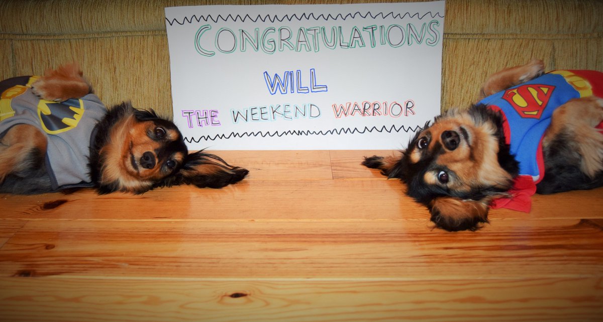 BelfastMarrow's tweet photo. We tried to tell the #MarrowDogs about @wtwwWill's incredible year of challenges for @AnthonyNolan, but they were exhausted just thinking about it.
Much to their relief, there's a simpler way to be a hero, and it just involves filling in a form & swabbing your cheek ☺️#HeroWeek https://t.co/ZbvgCqIRVk