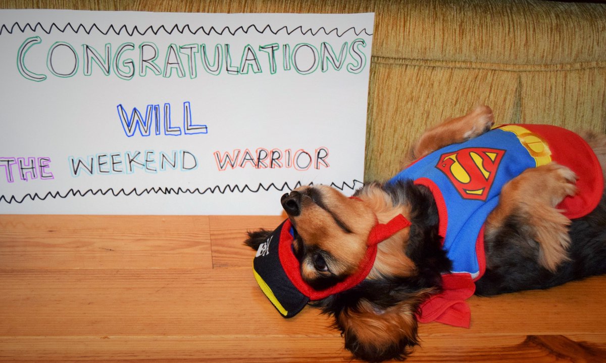 BelfastMarrow's tweet photo. We tried to tell the #MarrowDogs about @wtwwWill's incredible year of challenges for @AnthonyNolan, but they were exhausted just thinking about it.
Much to their relief, there's a simpler way to be a hero, and it just involves filling in a form & swabbing your cheek ☺️#HeroWeek https://t.co/ZbvgCqIRVk