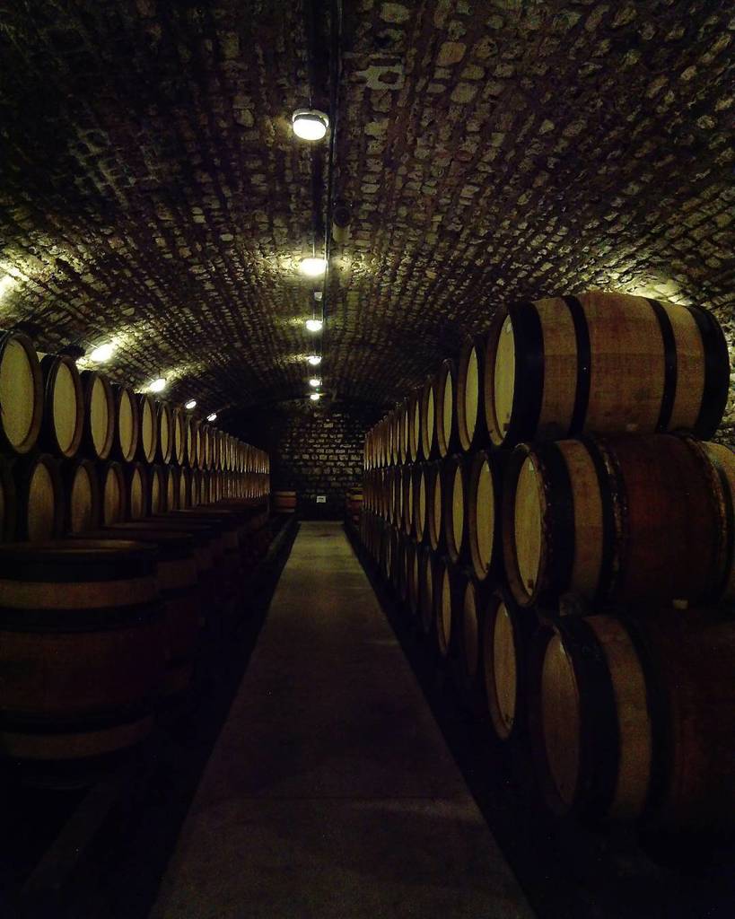 reinforzato's tweet photo. Nuits-Saint-Georges é uma das cidades produtoras de vinho daqui da #bourgogne. Ela concentra várias propriedades, vinhedos e caves. Hoje visitei a MOILLARD, que existe desde 1850. Eles fazem vários tipos de degustação o ano todo #moillard https://t.co/GEgs021CRf https://t.co/0i7XAUh2xf