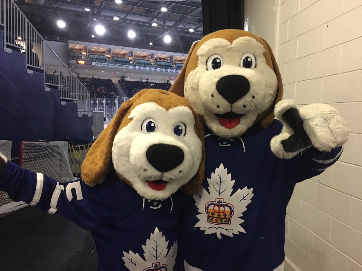 Toronto Marlies on X: Of course Duke is the best mascot in @TheAHL! Vote  in #MascotMadness ::   / X