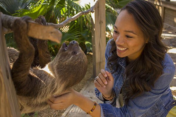 VisitOrlando's tweet photo. #NeedAdventure? Then take a walk on the #wildside only at @WildFlorida! https://t.co/ugYl9ZxPHV https://t.co/a4AqJFATdn