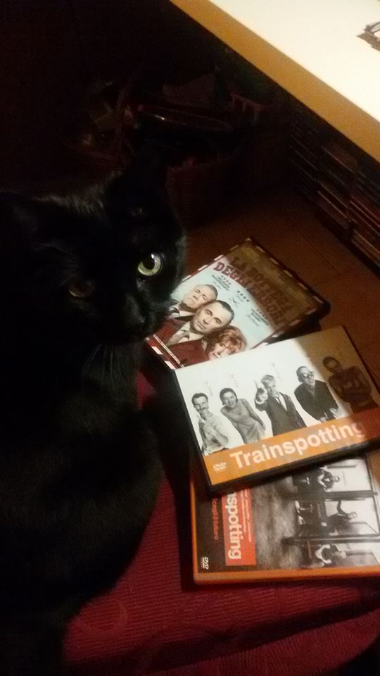 darkwildnight's tweet photo. @robertcarlyle_ @IrvineWelsh What she will choose? #Trainspotting #T2trainspotting #TLOBT https://t.co/b2VFo39imh