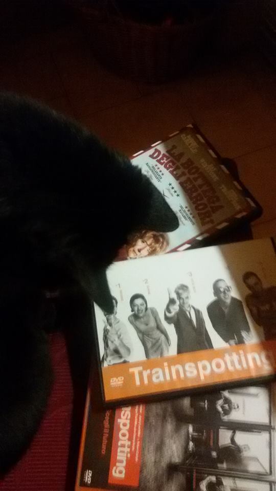 darkwildnight's tweet photo. @robertcarlyle_ @IrvineWelsh What she will choose? #Trainspotting #T2trainspotting #TLOBT https://t.co/b2VFo39imh