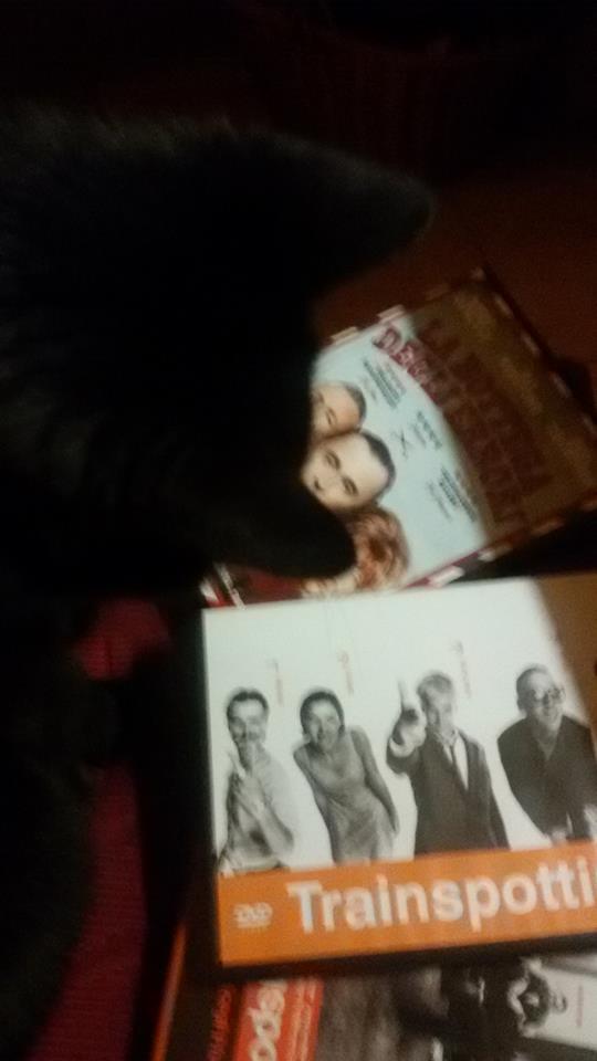 darkwildnight's tweet photo. @robertcarlyle_ @IrvineWelsh What she will choose? #Trainspotting #T2trainspotting #TLOBT https://t.co/b2VFo39imh
