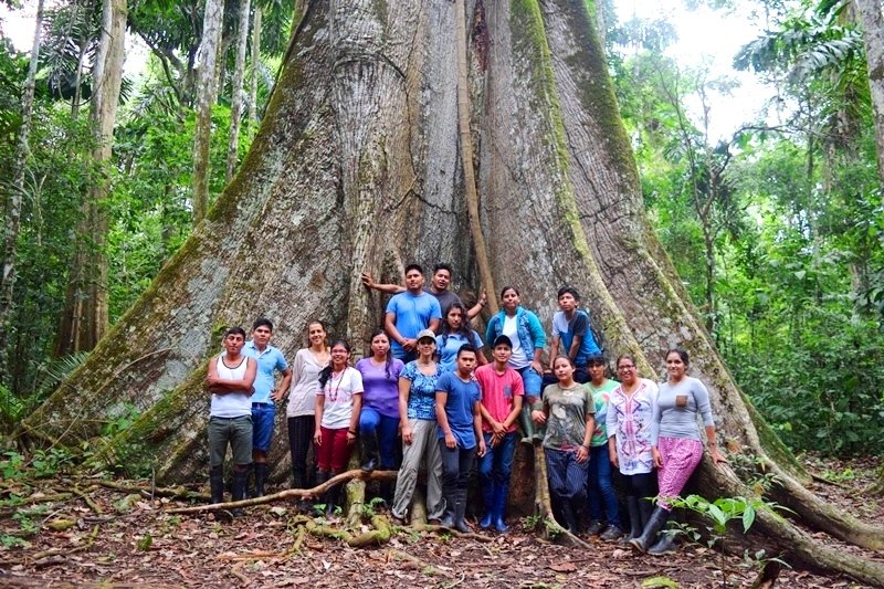 Pilot_Projects's tweet photo. Future forest-stewardship entrepreneurs! Youth gather for #futureforestwork Visioning Workshop #7 in Madre de Dios, Peru; https://t.co/T13DUnIKm2 https://t.co/rhoRGJkj30